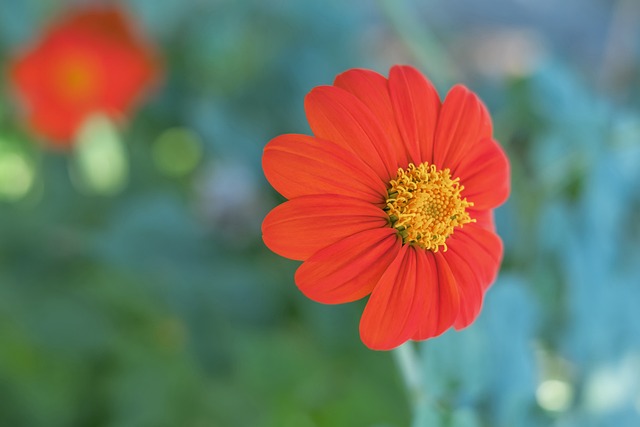 湖人队的防 湖人队的防