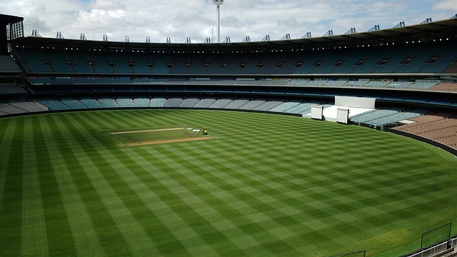 节目表现力 节目表现力