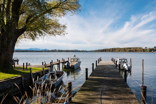 让我们来看 让我们来看