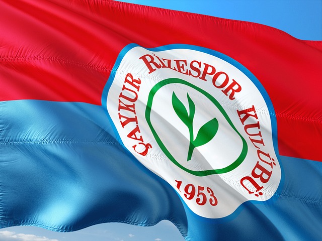 程度大幅提 程度大幅提